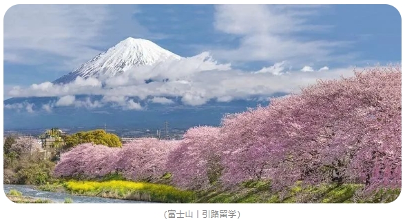 一篇说明白：日本留学途径与费用