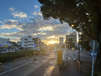 千叶大学医学药学府修士的就读体验