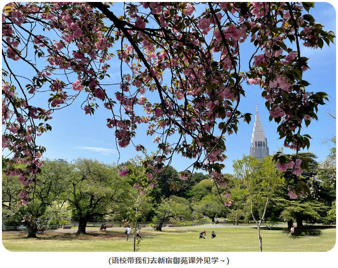 【学姐自述】逆袭成功！二本日专6个月合格早稻田大学修士！