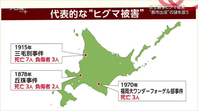 【去北海道留学】别去深山，注意熊出没！